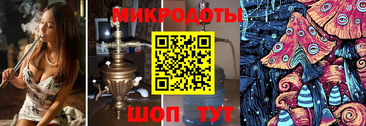 Галлюциногенные грибы Psilocybine cubensis Карачаевск